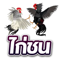 ไก่ชน by สล็อต pg เว็บ ตรง 100 วอ เลท